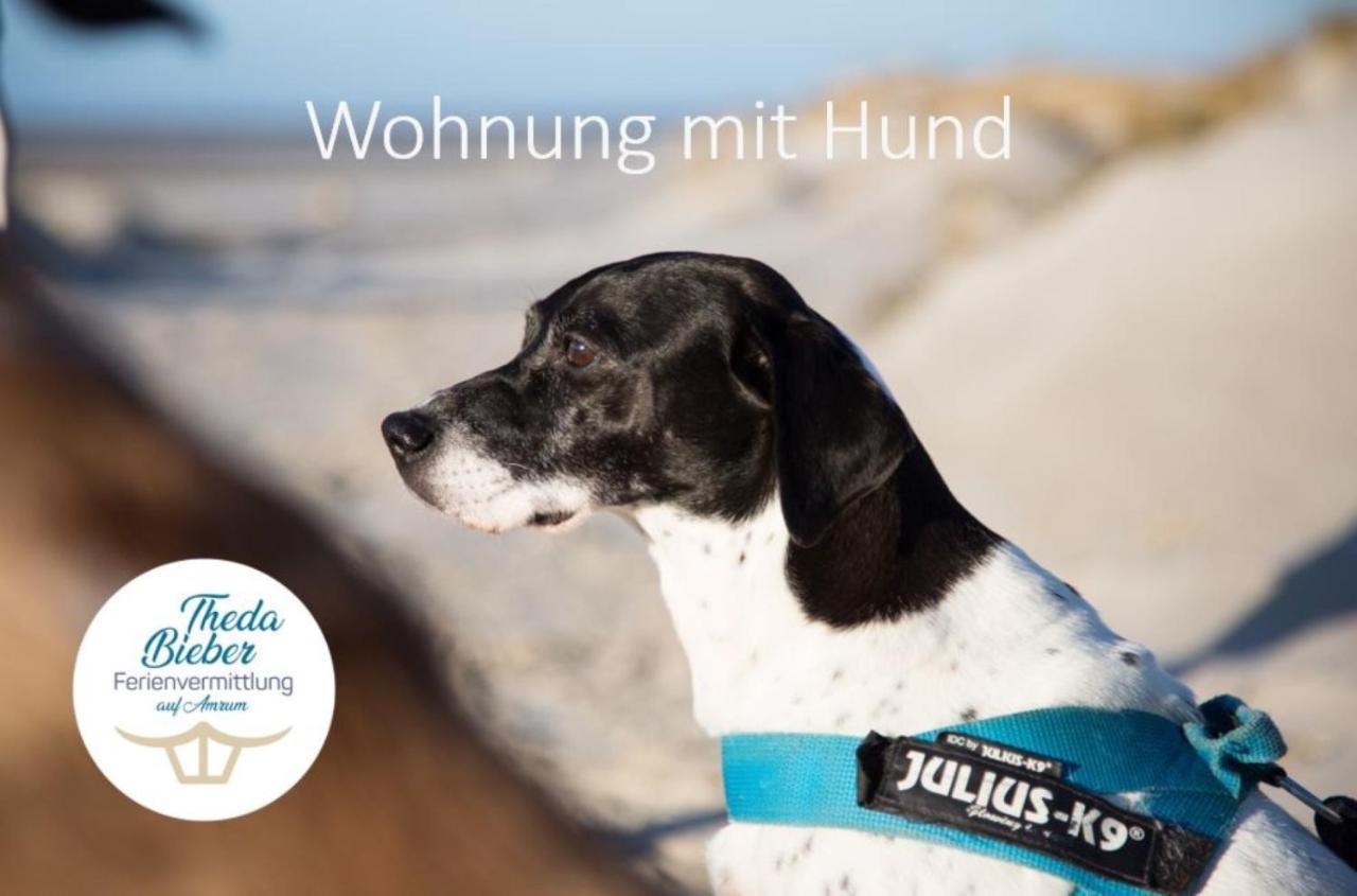 Haus Watthus - Wohnung Paradies Nebel Exterior foto